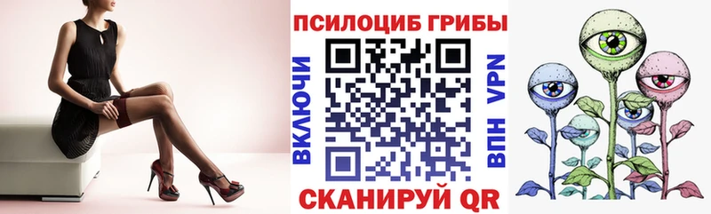 Псилоцибиновые грибы GOLDEN TEACHER  что такое наркотик  Хасавюрт 